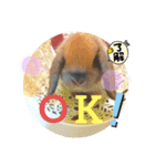 藍桜生活！冬編（個別スタンプ：1）