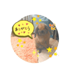 藍桜生活！冬編（個別スタンプ：2）