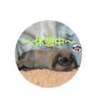 藍桜生活！冬編（個別スタンプ：5）