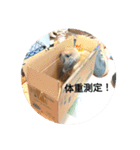 藍桜生活！冬編（個別スタンプ：16）