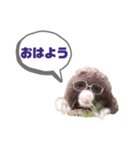 写真家もぐらさん（個別スタンプ：1）