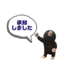 写真家もぐらさん（個別スタンプ：12）