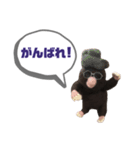 写真家もぐらさん（個別スタンプ：14）