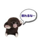 写真家もぐらさん（個別スタンプ：17）
