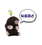 写真家もぐらさん（個別スタンプ：31）