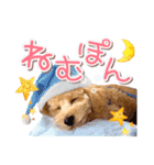 ぽんスタ♡（個別スタンプ：2）