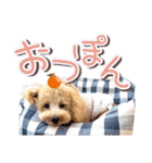 ぽんスタ♡（個別スタンプ：4）