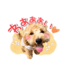 ぽんスタ♡（個別スタンプ：6）