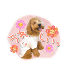 ぽんスタ♡（個別スタンプ：9）