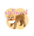 ぽんスタ♡（個別スタンプ：11）