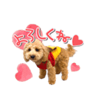 ぽんスタ♡（個別スタンプ：13）