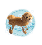 ぽんスタ♡（個別スタンプ：14）