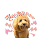 ぽんスタ♡（個別スタンプ：15）