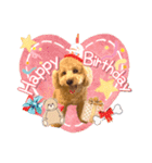 ぽんスタ♡（個別スタンプ：16）