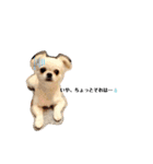どうみてもアイドル犬（個別スタンプ：10）