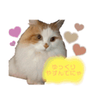 日常で使えるおもちちゃんスタンプ（個別スタンプ：13）