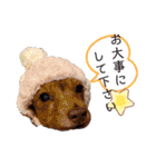 Yu-moin愛犬スタンプ2(姪ちゃん作おまけ付)（個別スタンプ：1）