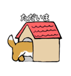 猫と柴犬の気持ちを伝えるスタンプ（個別スタンプ：24）