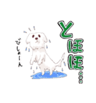 温泉ユケムリーヌ（個別スタンプ：36）