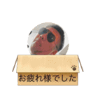 みきポンズ（個別スタンプ：12）