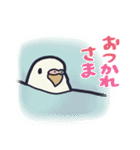 セキセイインコのふだん使いスタンプ（個別スタンプ：20）