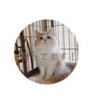 べんけいスタンプ（個別スタンプ：9）