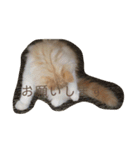 べんけいスタンプ（個別スタンプ：16）