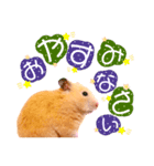 うまみちゃんの日常（個別スタンプ：1）