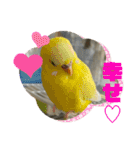 ゆきちゃん宅スタンプ23（個別スタンプ：2）