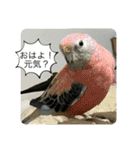 ゆきちゃん宅スタンプ23（個別スタンプ：9）
