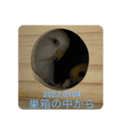 ゆきちゃん宅スタンプ23（個別スタンプ：10）