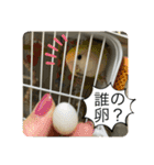 ゆきちゃん宅スタンプ23（個別スタンプ：12）