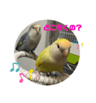 ゆきちゃん宅スタンプ23（個別スタンプ：13）