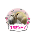 ゆきちゃん宅スタンプ23（個別スタンプ：16）