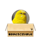 ゆきちゃん宅スタンプ23（個別スタンプ：19）