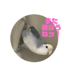 ゆきちゃん宅スタンプ23（個別スタンプ：22）