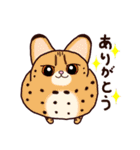 まるくてかわいい動物たち♡ 毎日使える♪（個別スタンプ：6）