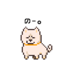 D！Dog！（個別スタンプ：3）