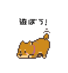 D！Dog！（個別スタンプ：5）