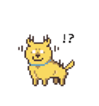 D！Dog！（個別スタンプ：7）