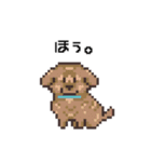 D！Dog！（個別スタンプ：13）