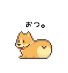 D！Dog！（個別スタンプ：17）