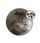 ハム日和兵は壊れた（個別スタンプ：8）