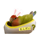 インコの1週間（個別スタンプ：18）