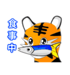 トラ「猫」（個別スタンプ：13）