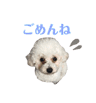 古川ぺこの日常スタンプ（個別スタンプ：4）