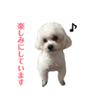 古川ぺこの日常スタンプ（個別スタンプ：6）