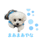 古川ぺこの日常スタンプ（個別スタンプ：13）