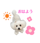 古川ぺこの日常スタンプ（個別スタンプ：14）