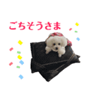 古川ぺこの日常スタンプ（個別スタンプ：15）